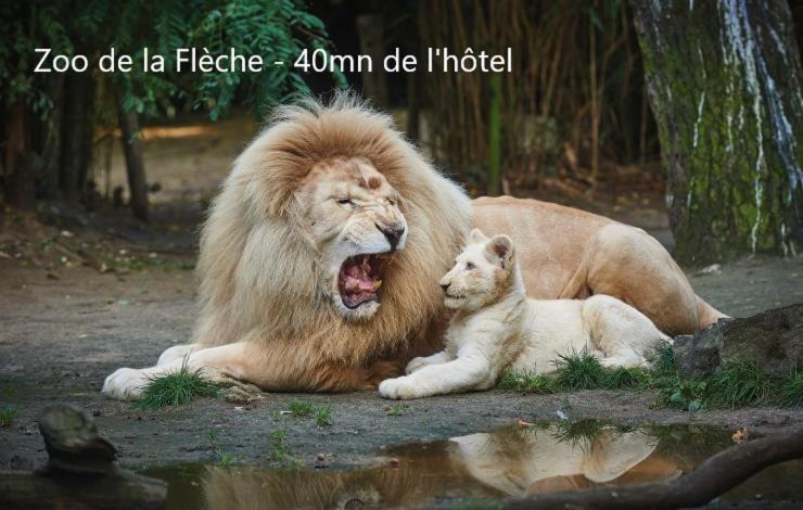 Hotel-Restaurant Ricordeau Loue Ngoại thất bức ảnh
